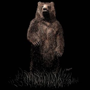 Paul Hopman Scratchboard Bear "North"